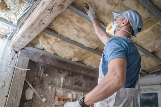 Best Insulation Maintenance and Repair in Sinking Spring, PA